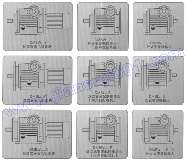 DMB无级减速机结构形式图