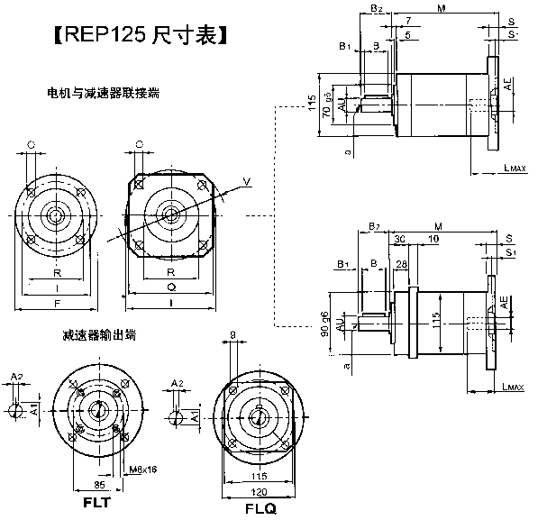 REP125尺寸表